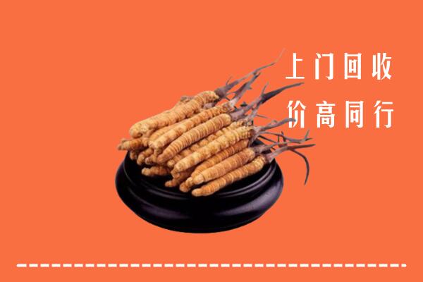 高价求购：滁州市明光回收散虫草