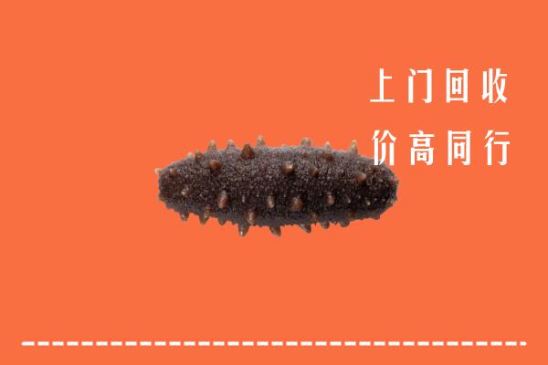 高价求购：滁州市明光回收海参