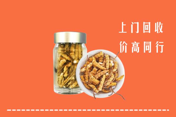 滁州市明光回收冬虫夏草
